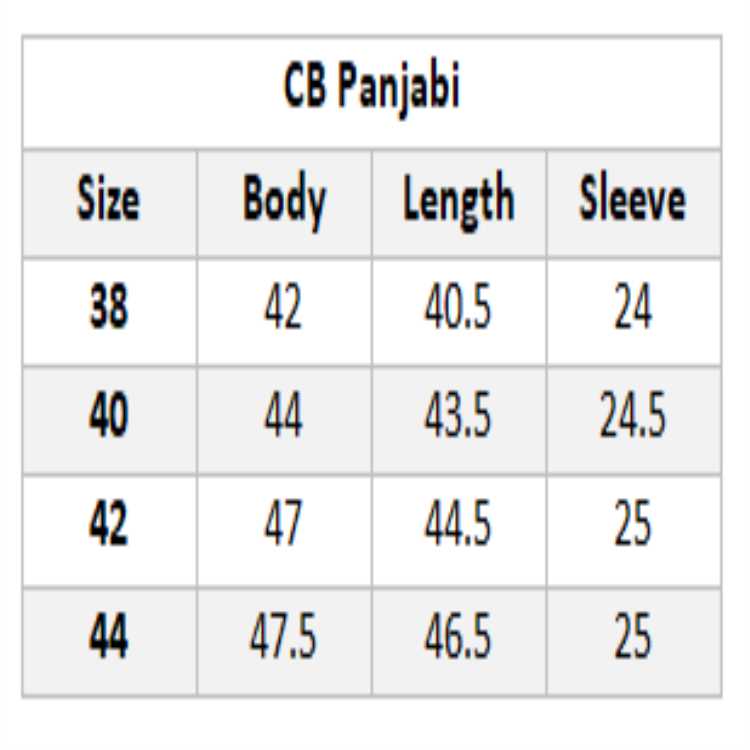 Bombay Jacquard Fabric Premium Panjabi 3