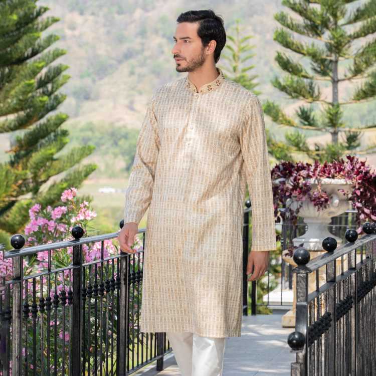 Premium Party Long Panjabi 2