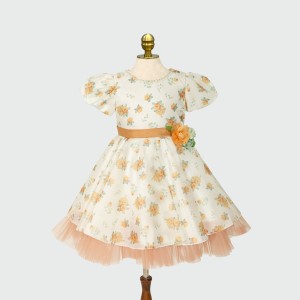 Girls Frock 1