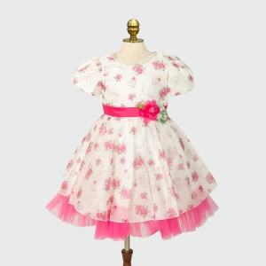 Party Girls Frock 1