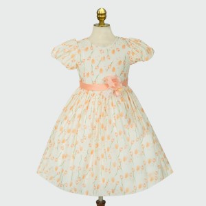 Girls Frock 1