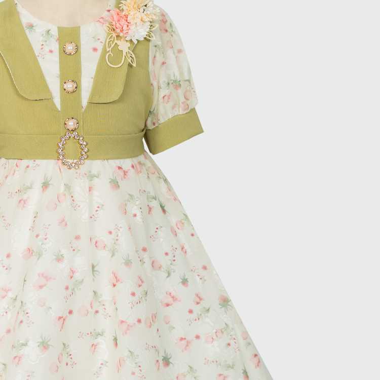 Girls Frock 2