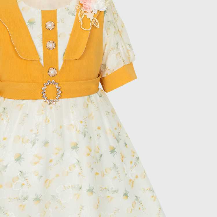 Girls Frock 2