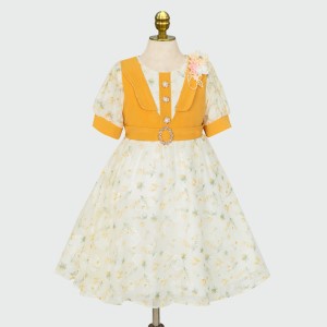 Girls Frock 1