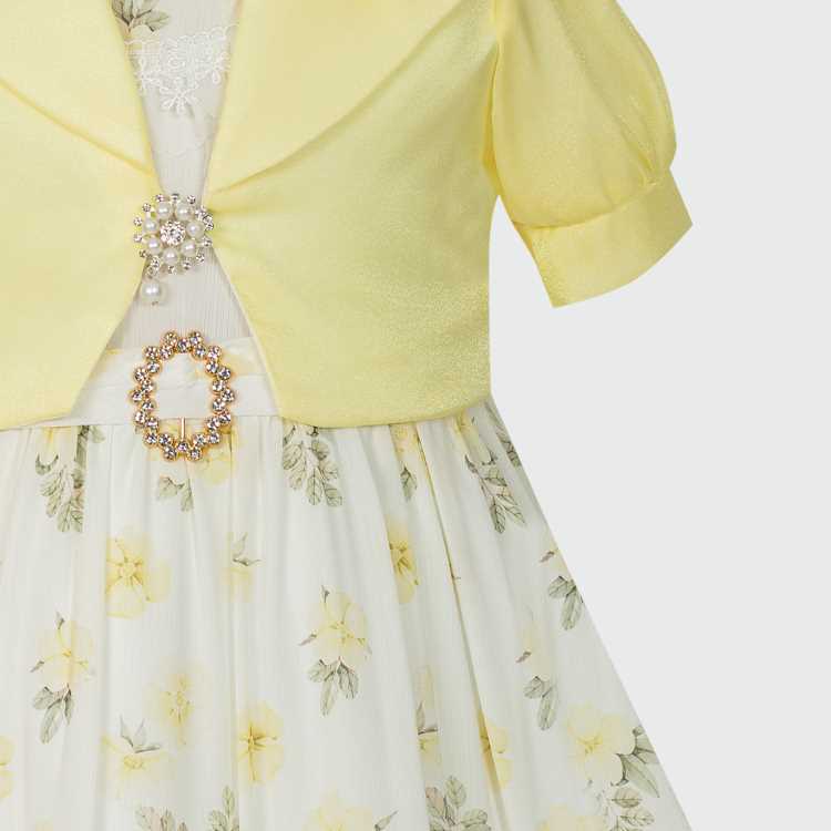 Party Girls Frock 2