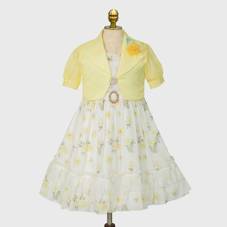 Party Girls Frock 1