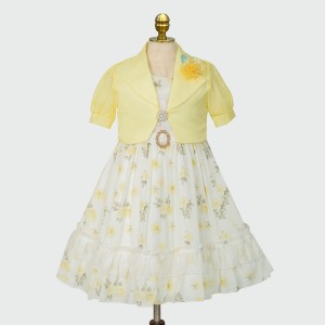 Party Girls Frock 1
