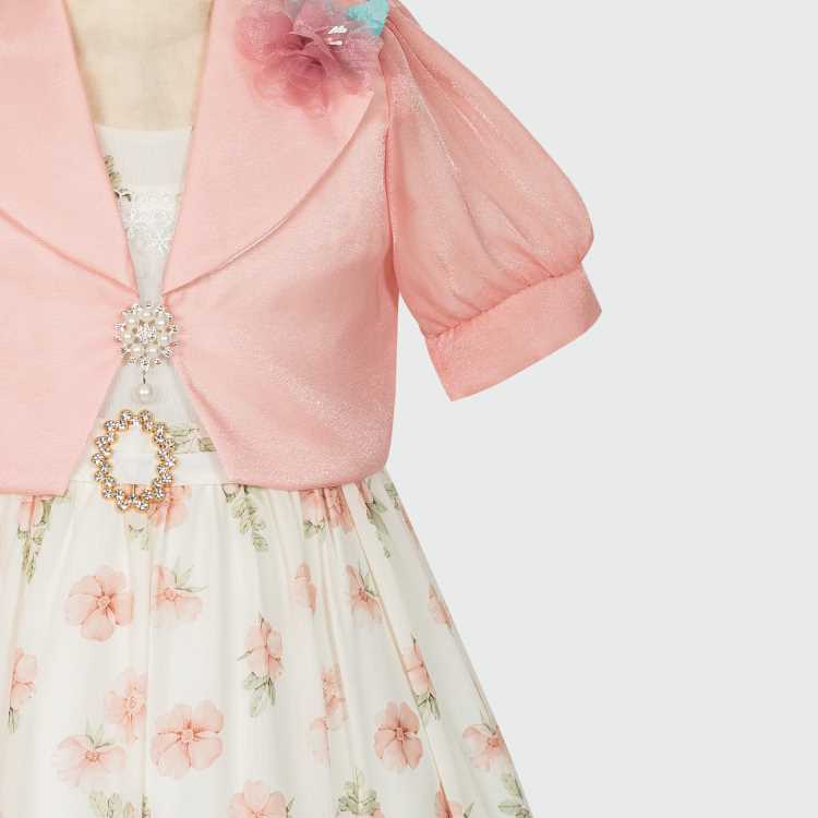 Party Girls Frock 2