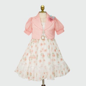 Party Girls Frock 1