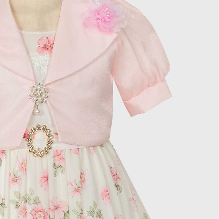 Party Girls Frock 2