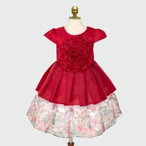 Party Girls Frock 1