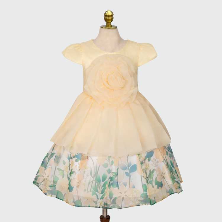 Party Girls Frock 1