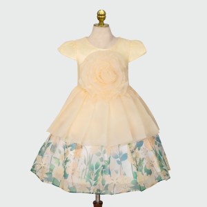Party Girls Frock 1